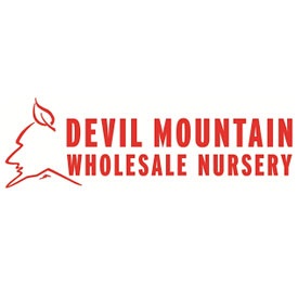 https://www.relandscapesonoma.com/wp-content/uploads/2024/05/devil-mountain.jpg